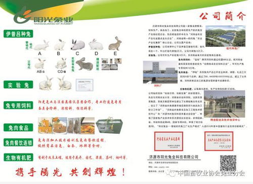 第七屆2017中國兔業(yè)發(fā)展大會 行業(yè)精英齊聚，技術(shù)與服務(wù)共繪產(chǎn)業(yè)藍(lán)圖