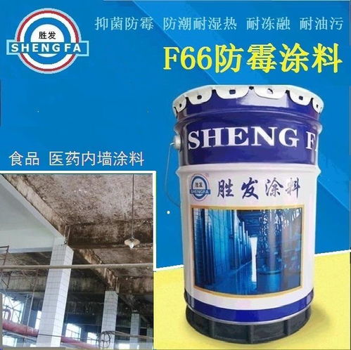勝發(fā)防霉涂料 護(hù)航寧夏肉羊屠宰車間的清潔與安全